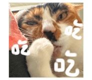 772957474