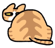 772957916