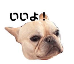772959483