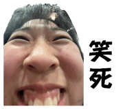 772962041