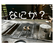 772962297