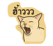 772965006