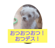 772965512