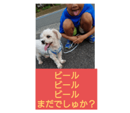 772965514