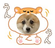 772965627