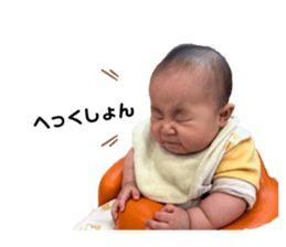 772966118