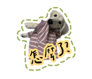 772970681