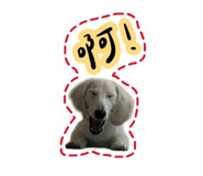 772970682