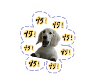 772970683