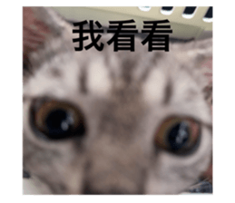 772970815