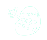 772972381