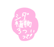 772972386
