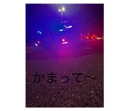 772972397