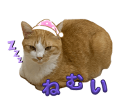 772979170