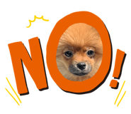 772979314
