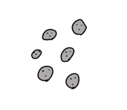 772979508