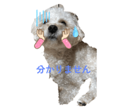772979532