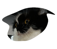 772980275