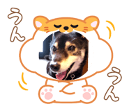 772980324