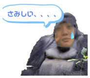 772982918