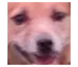 772987479