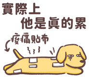 772991844