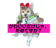 772995395