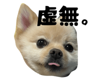 772995400