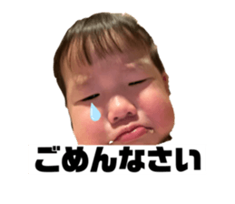 772995762