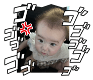 772995856