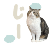772995930