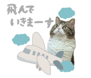772995931