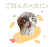 772995932