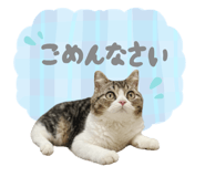 772995935