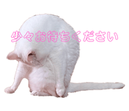772996067