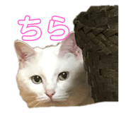 772996070
