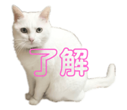 772996077