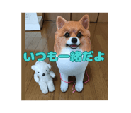 772996178