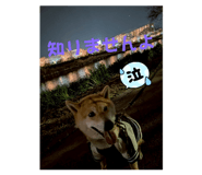 772996438