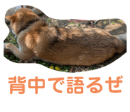 772996458