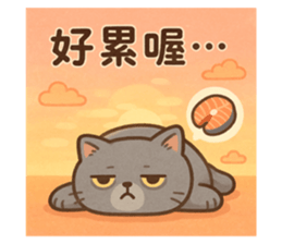 772996639