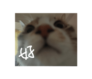 772996953