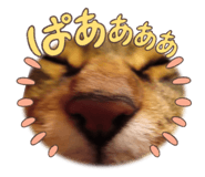 772997360