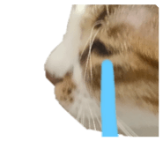 772997393