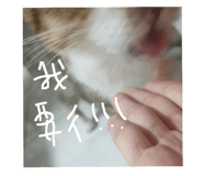 772997400