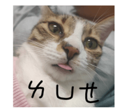 772997406