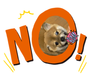 772997498