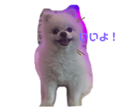 772997541