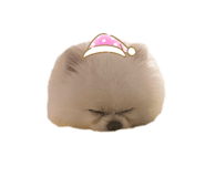 772997545