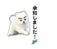 772997547